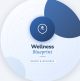Wellness Blueprint